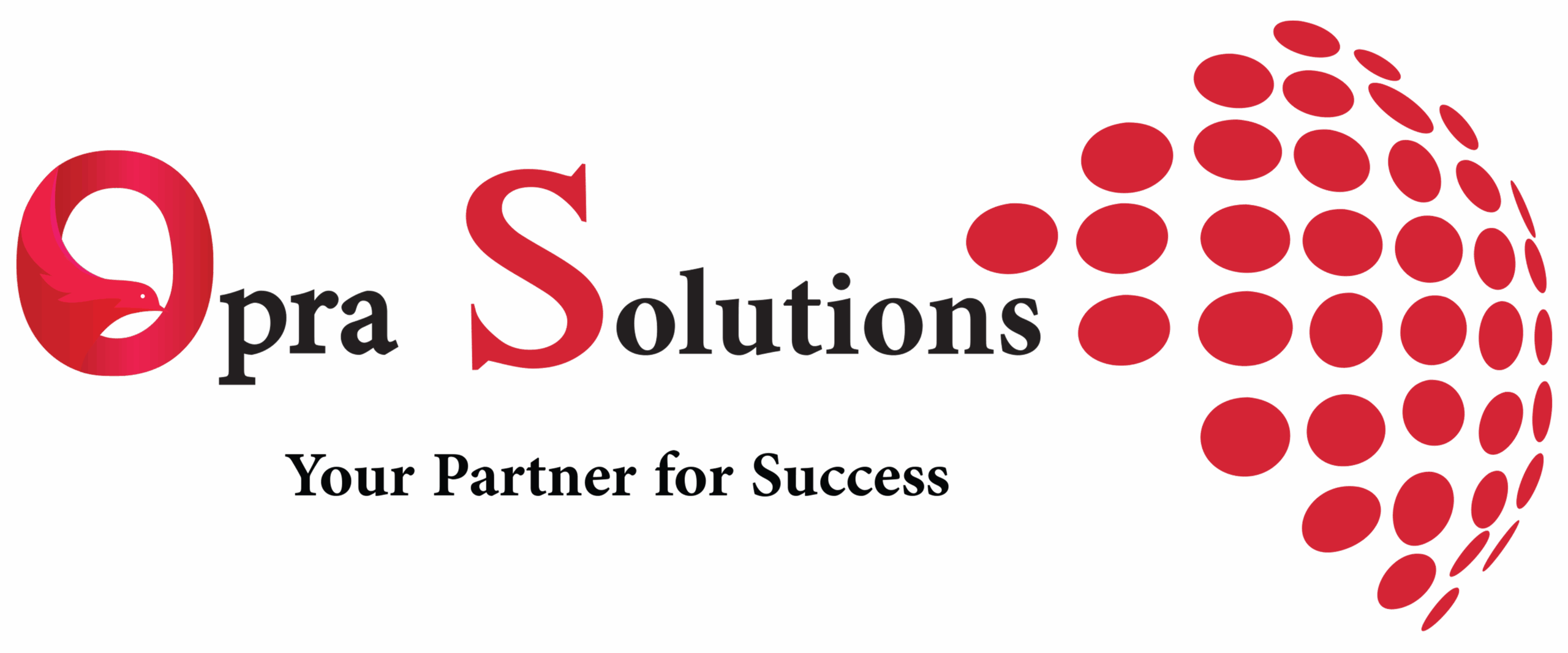 Opra Solutions Store